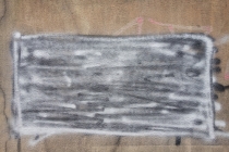 Glebia ostrosci BIS II 2020.JPG